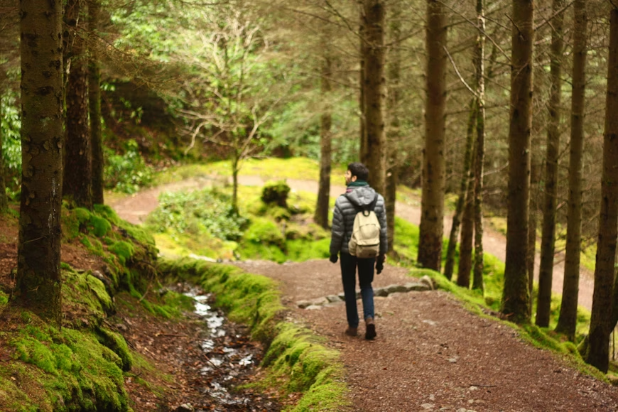 a man walking in a forest