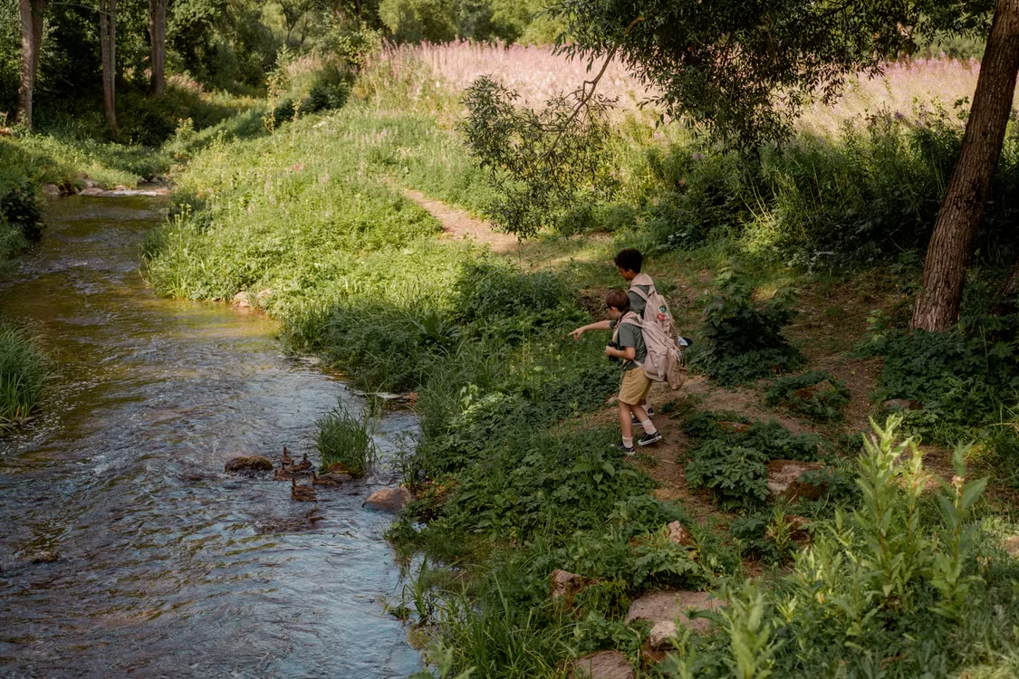 Children hiking in the woods