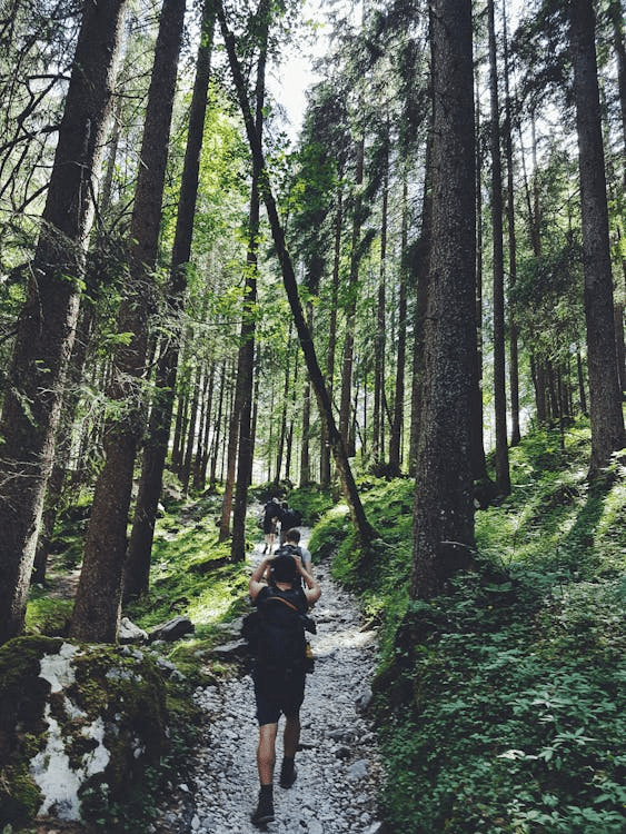 Gear That Handles Wear: What Makes a Pack Last Season After Season - Light Hiking Gear