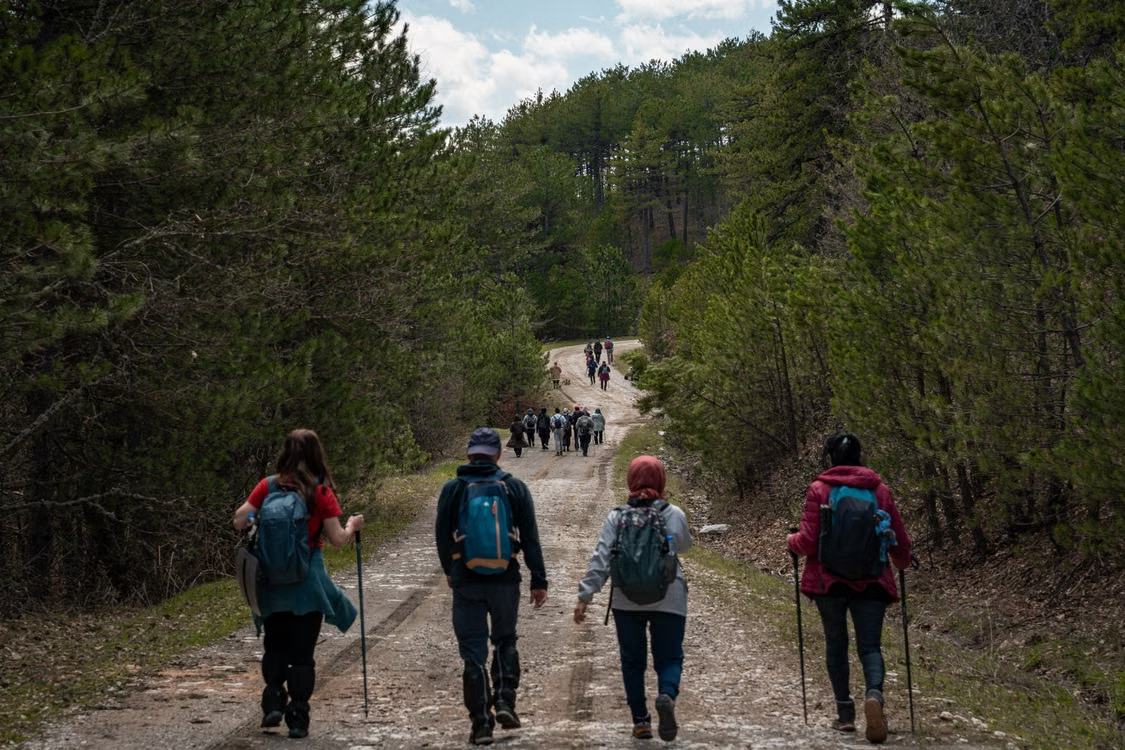 Group of hikers with backpacks and trekking poles walking along a wide forest trail.