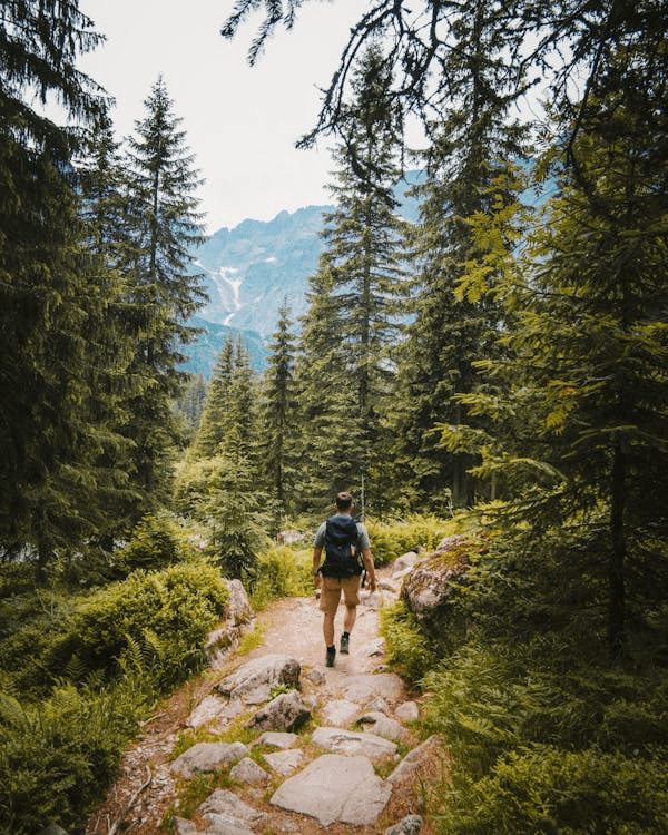 High Altitude Demands: Engineering Backpacks for Thin Air and Technical Terrain - Light Hiking Gear