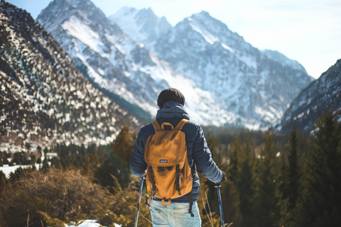 A hiker standing on a mountain
