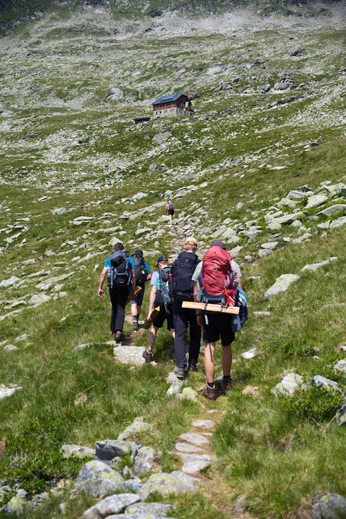 people trekking on a mountain