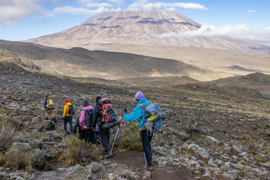 A group of campers hiking with durable alpine adventure packs.