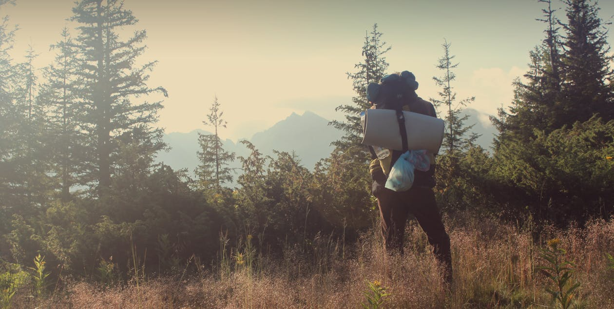 Hiker carrying a loaded backpack walking through a forest at sunset.
