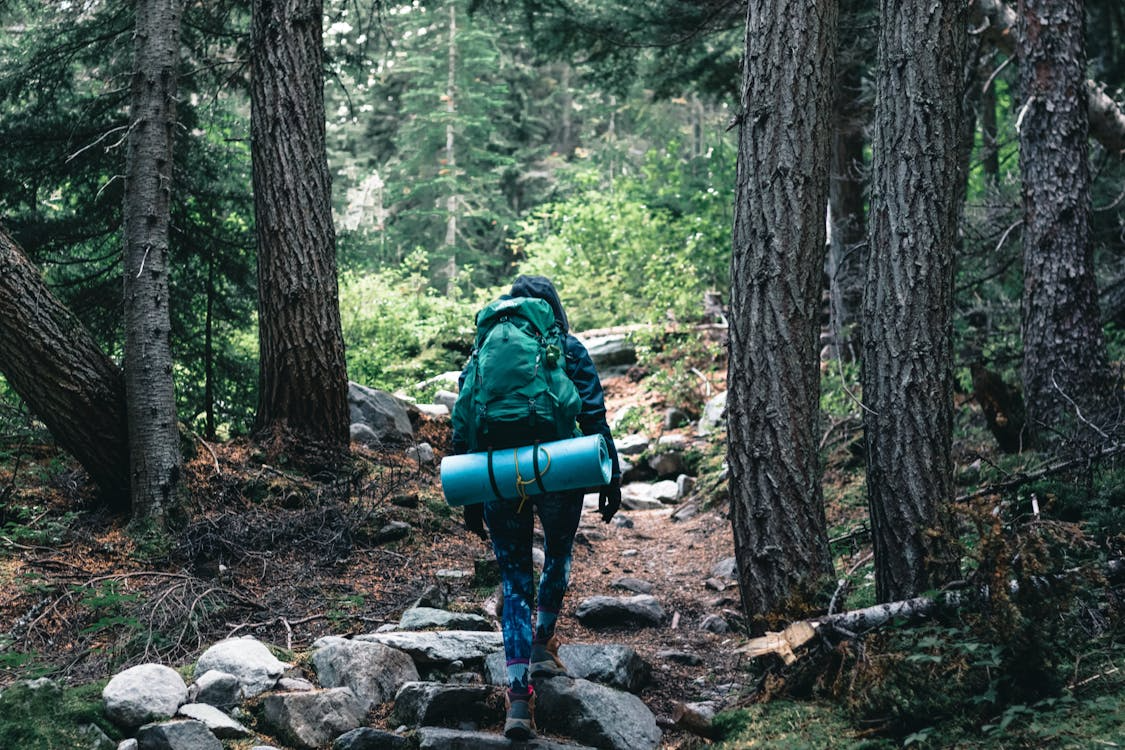 Hiker carrying a large backpack walking through a forest trail.