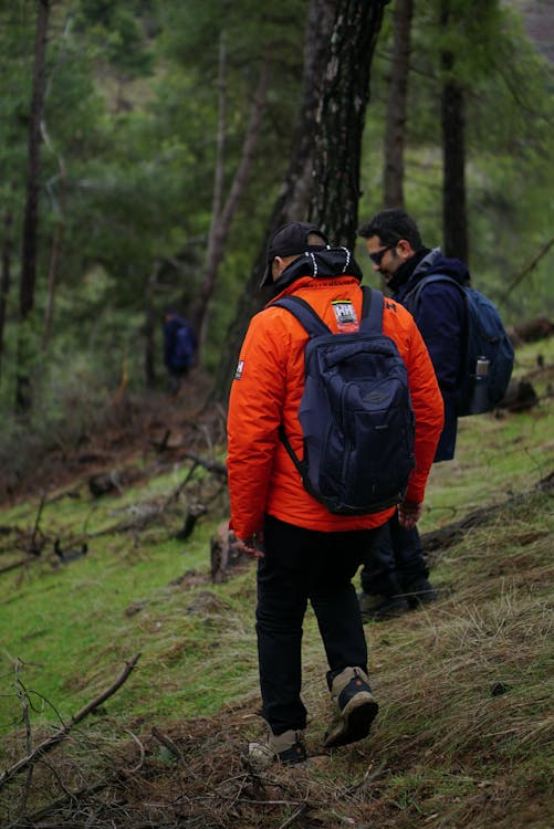 a hiker exploring a forest