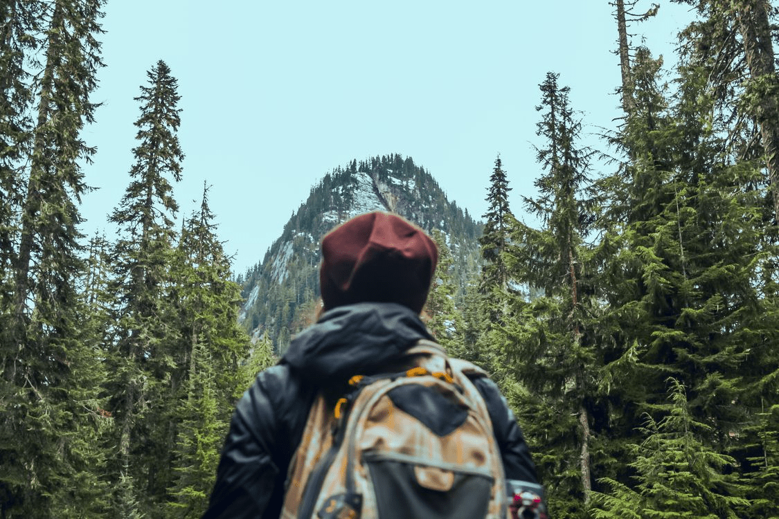 Whidbey Island to Wilderness: Planning a Pacific Northwest Trek with the Right Gear - Light Hiking Gear