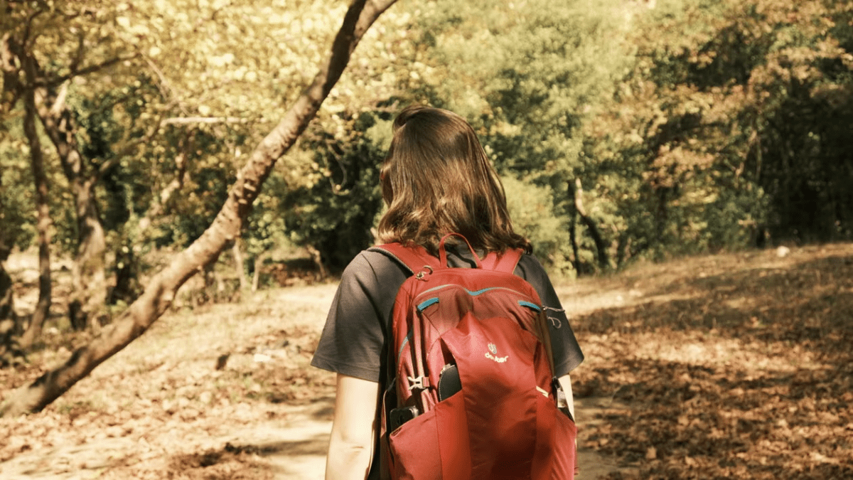 Why the Back Panel on Your Pack Matters More Than Most Hikers Realize - Light Hiking Gear